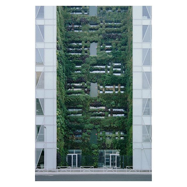 Vegetalism
•
•
•
•
•
#noicemag #killerminimal #oftheafternoon #lucecurated #documentingspace #analogfeatures #documentingspace #lightzine #la_minimal #tendermag #ifyouleave #archivecollectivemag #fivesixmag #ourmomentum #gominimalmag #ignant #bro… ift.tt/2RLUPo5