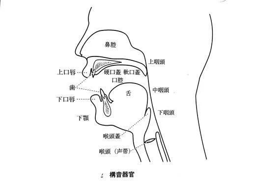 パワハラ-アカハラ-マタハラ-パタハラ両唇破裂音(パ)、軟口蓋接近音(ワ)、声門音(ハ)、歯茎音(ラ)、非円唇広母音(ア)、軟口蓋破裂音(カ)、両唇鼻音(マ)、歯茎破裂音(タ)とまんべんなく調音を網羅しているこの発音練習を皆様の現場でも是非どうぞ#冗談です #嘘です #本気にしないで 