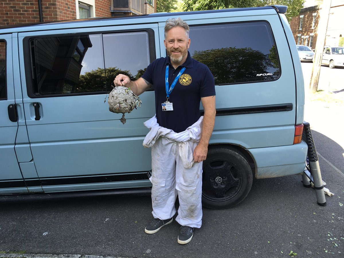 markseymour404's tweet photo. Busy day in #Tenterden today already #waspproblems #wasps #waspseason Give me a call 07989111150 https://t.co/V13wtF36bE https://t.co/WZo1p5kggW