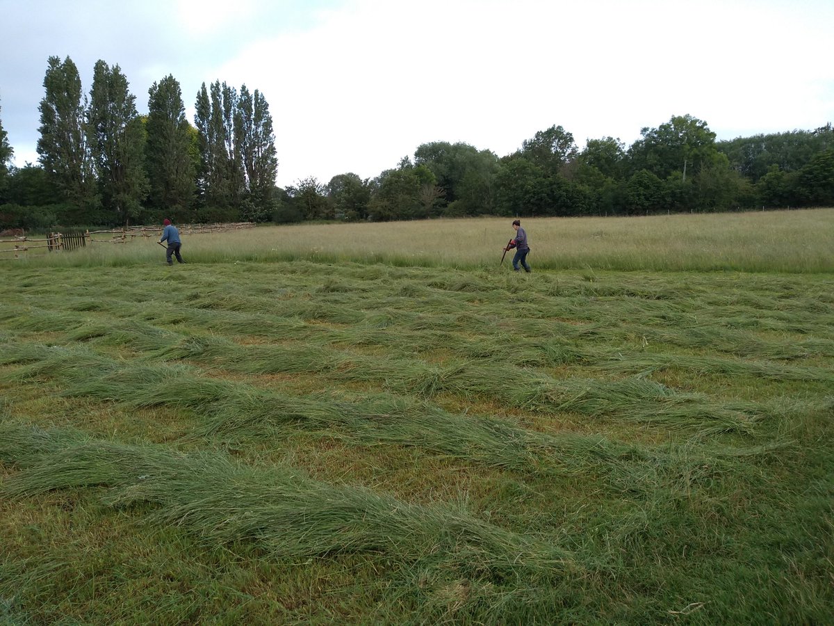 FairCloseFarm's tweet image. Nice, cool morning for mowing