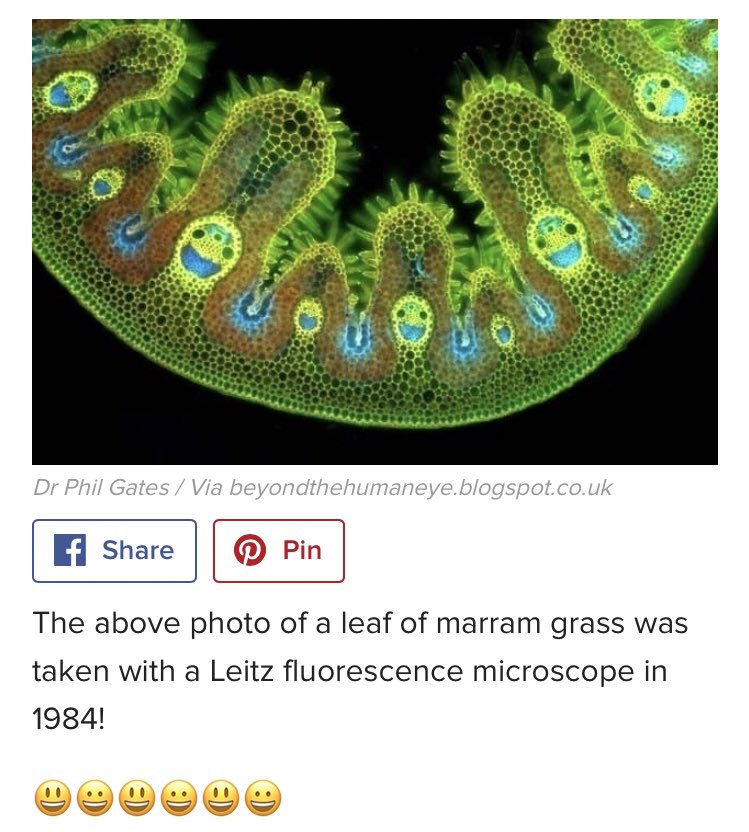 Good Vibes (@brenden02749427) on Twitter photo 