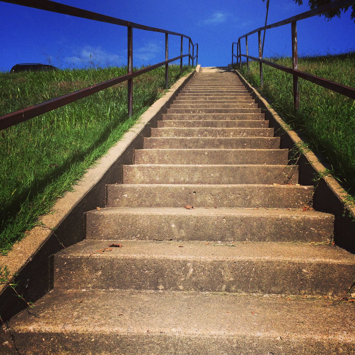 Good Vibes (@brenden02749427) on Twitter photo 