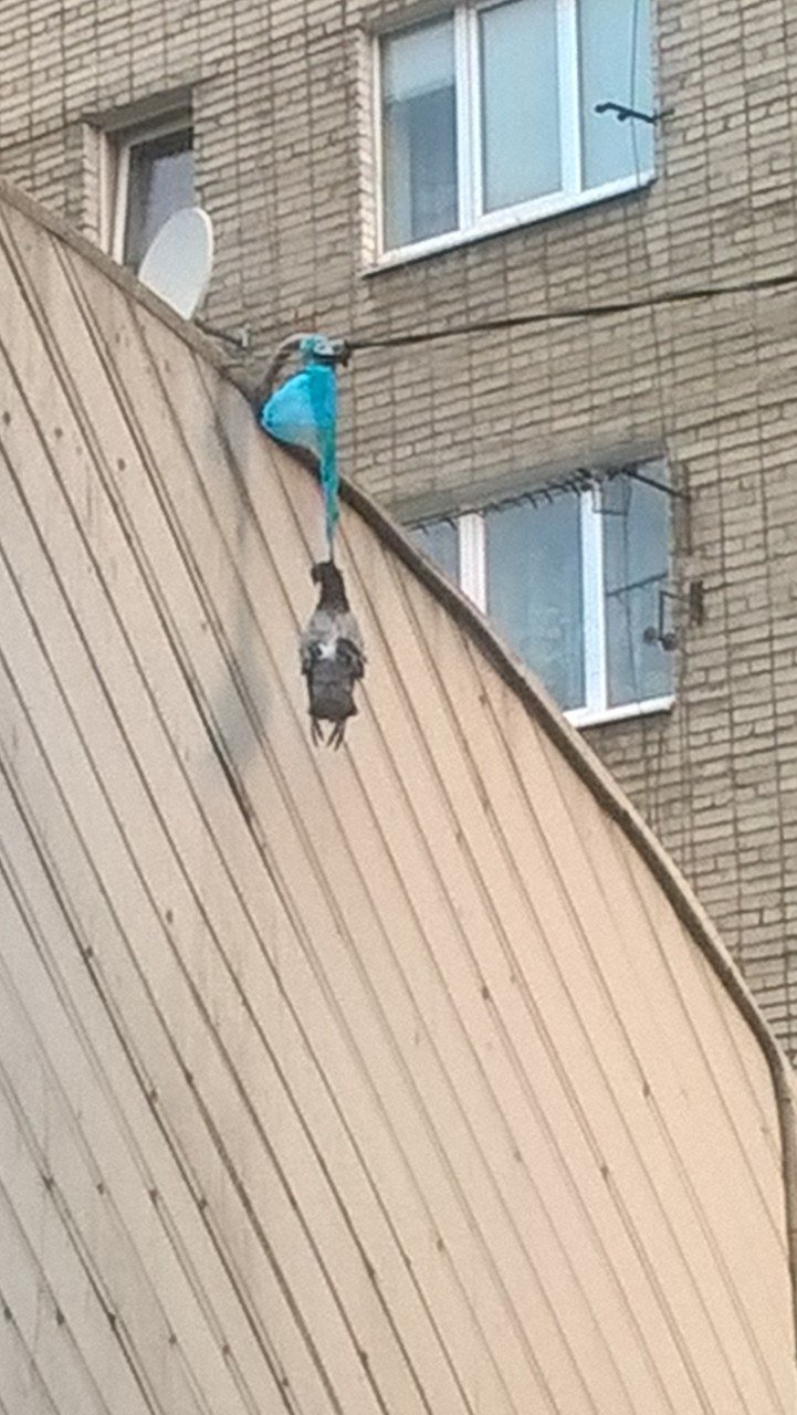 D-Dgs0ZXsAA39pd?format=jpg&name=large