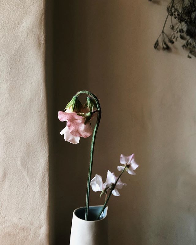 First sweet pea. Always a bit emotional. ift.tt/2Rz36eE