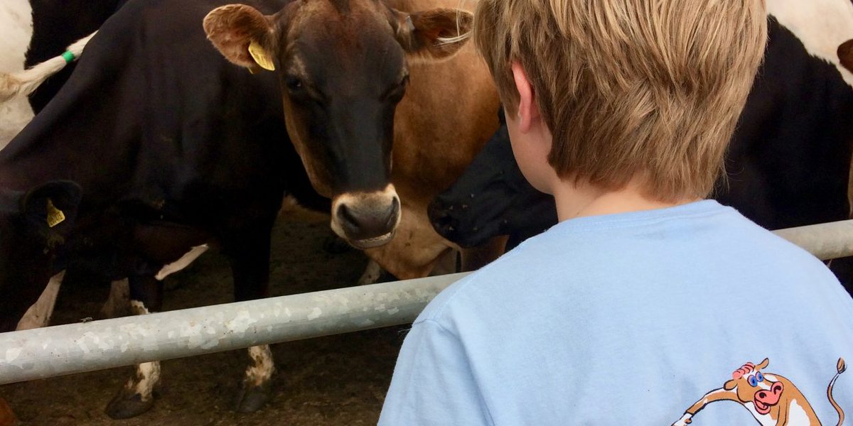 The #southdevon Ice Cream producer connecting kids with nature.

<a href="/surf_cowdevon/">Surfing Cow Devon Ice Cream</a> 

#farm #agriculture #icecream #devon 

grow-media.co.uk/exeter-news/ex…