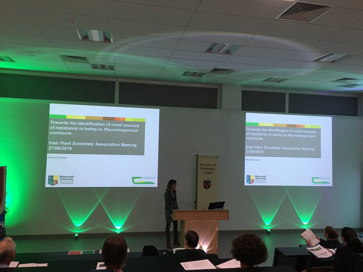 DRaj_Rathore's tweet photo. @Tara_OConnor10 presentingbher work on Rhynchosporium in barley at #IPSAM2019 https://t.co/E3XiwHWG3J