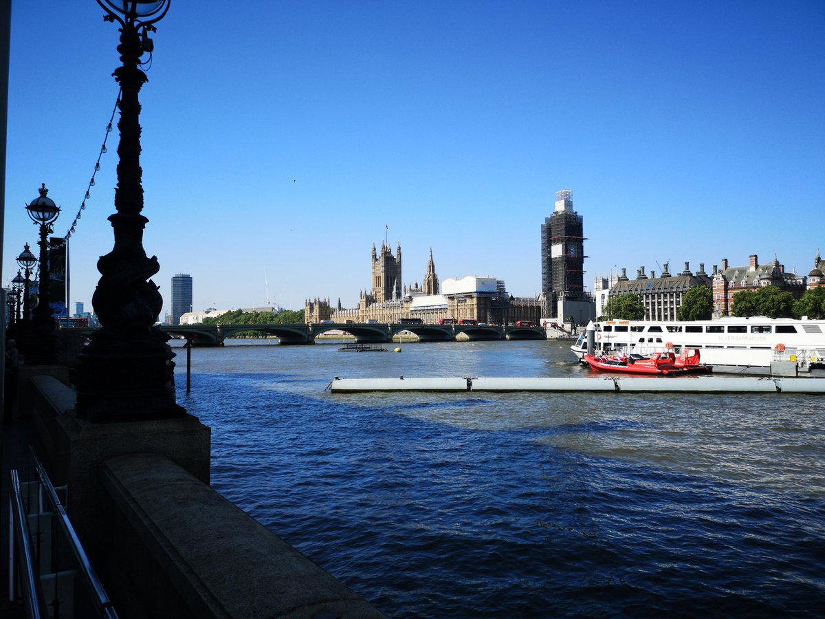 Haveley Hey 5W tweet media