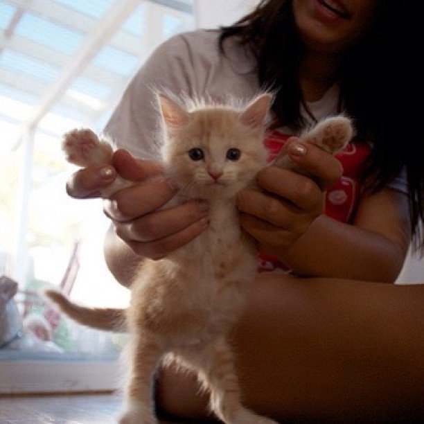 Play time!
#animal #pets