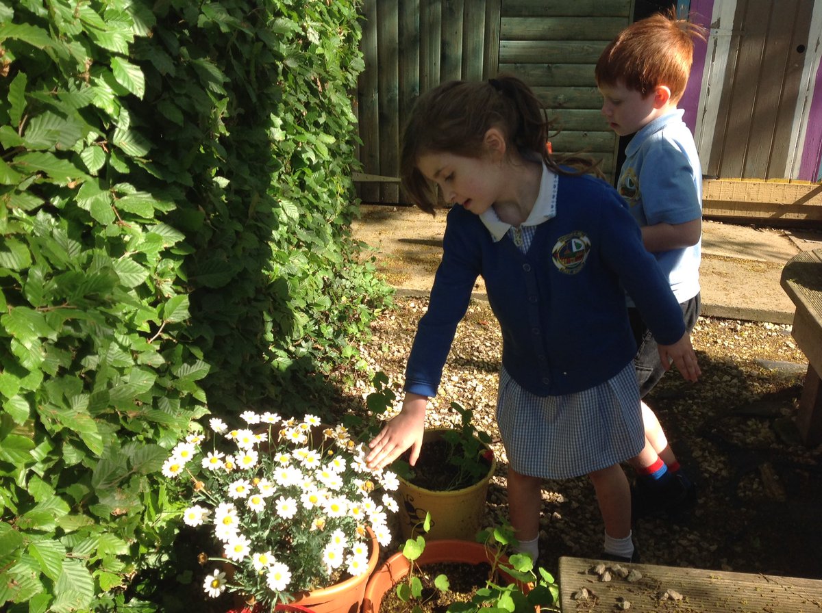AUH_school's tweet photo. Day 27 of #30DaysWild and the children of Acorn class have been using the sense of touch and described some of leaves that they have found as being sticky, spiky, fluffy, smooth, fuzzy, soft, prickly, rough and tickly. https://t.co/modGoyOS2j
