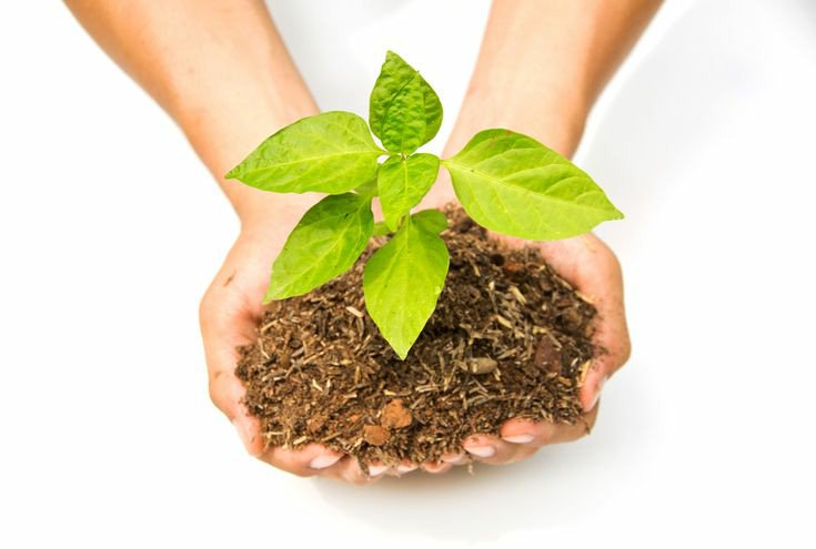 safehavenmfb's tweet photo. Let's grow your business for you. https://t.co/Dja1nZJcsP