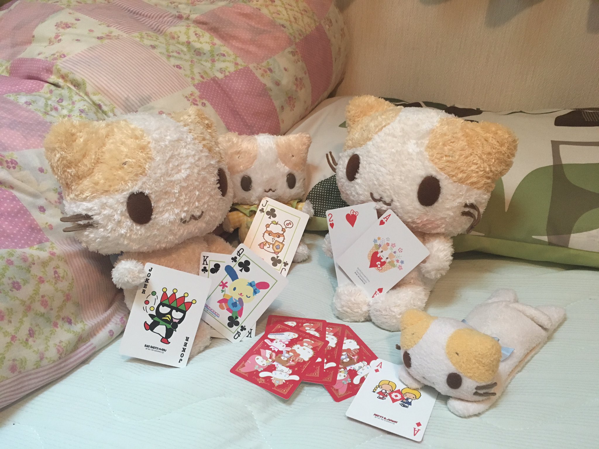 マシュマロみたいなふわふわにゃんこ SANRIO(一時休止中 マシュマロみたいなふわふわにゃんこ SANRIO(一時休止中