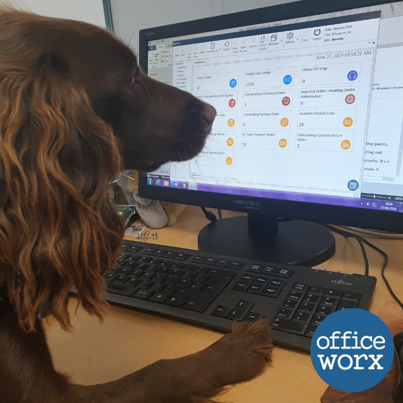 officeworx's tweet photo. Look who's taking sales calls today? @EvieDog is now a professional on our @PrimaSoftware (with the help of Katie). 

 #OfficeworxPuppy 🐶🖥️⭐️ https://t.co/Pl2NnzVLNG
