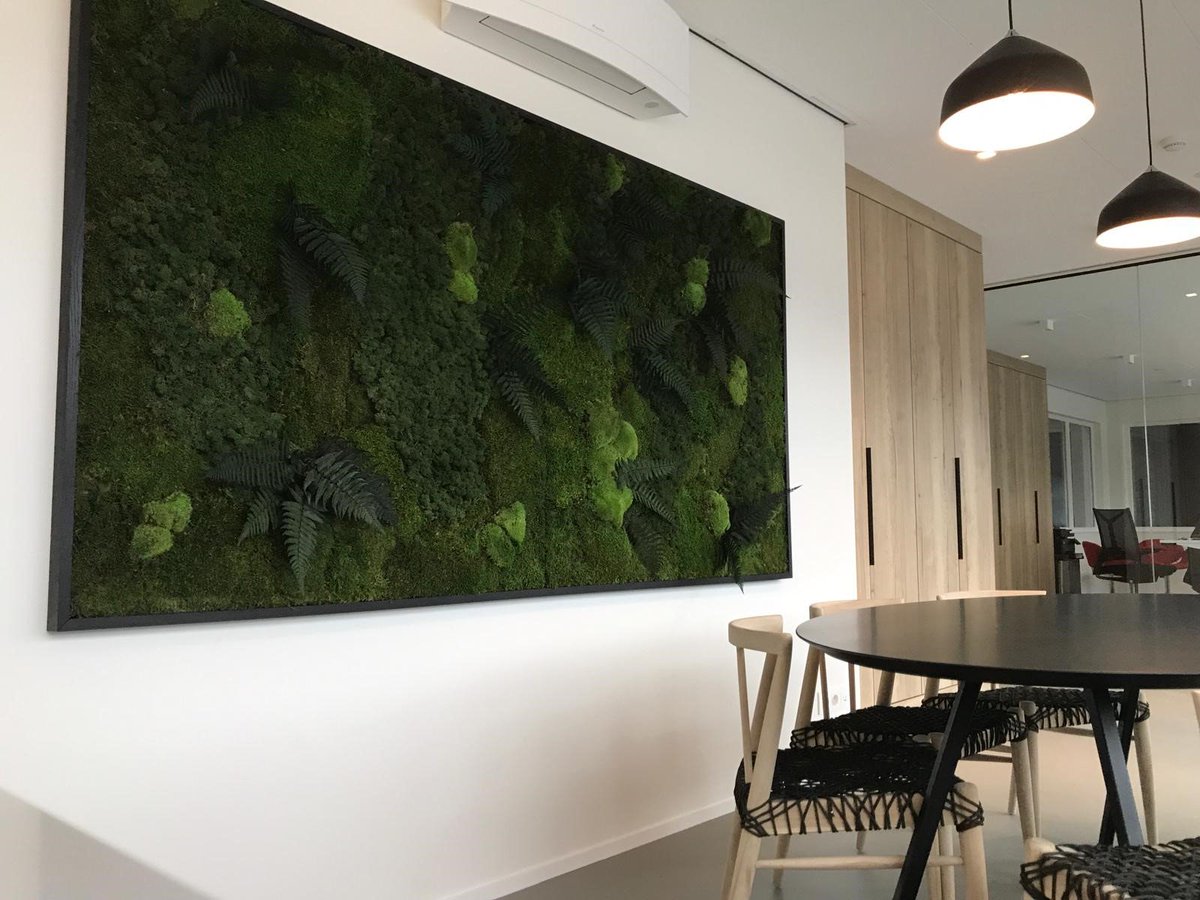 NWallpanels's tweet image. Just some examples in Moss-decoration at the office or in your livingroom.
The possibilities are endless.
#interiordesignideas #interiorwalls #designwall #natureathome#mossdesign