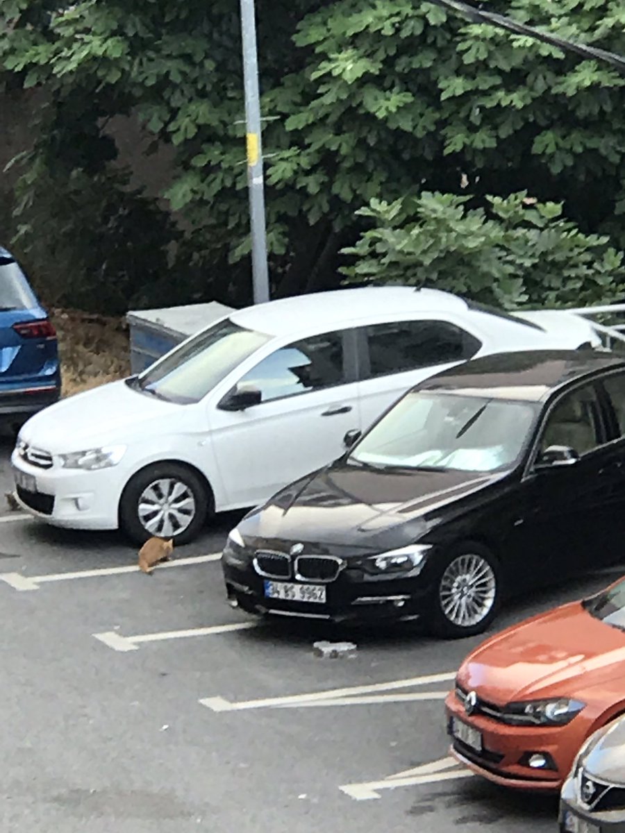 esradaylan's tweet photo. @SuperZabita 
Merhaba, sokağımızda park alanı kısıtlı olmasına rağmen hanesindeki ikinci araca hergün bu şekilde yer tahsis eden bu mahalle sakini ile ilgilenir misiniz? https://t.co/9hoWrra8Ls