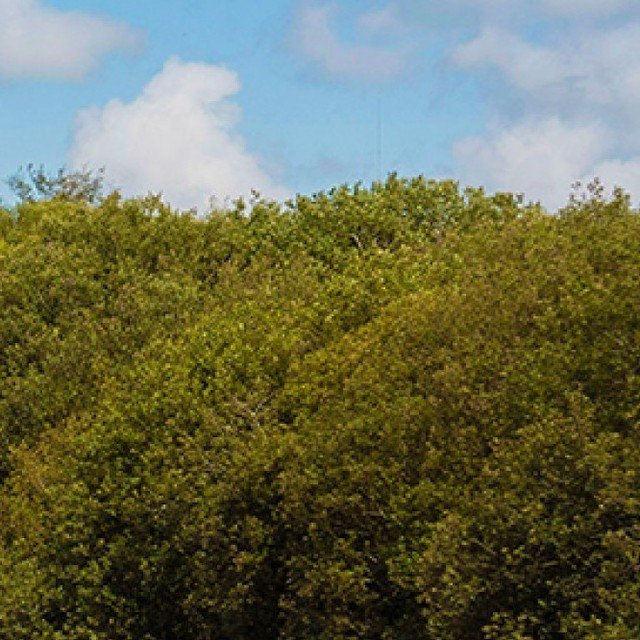 Retallack Resort tweet media