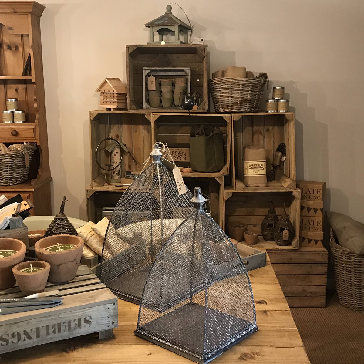 AF Garden School tweet media