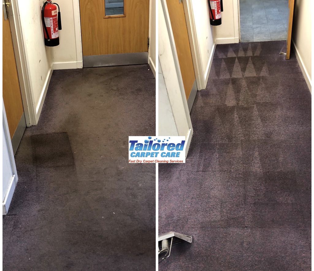 Tailored Carpet Care tweet media