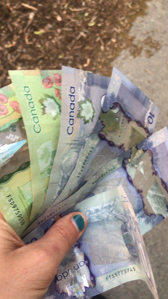 Erica Ida Bota tweet media