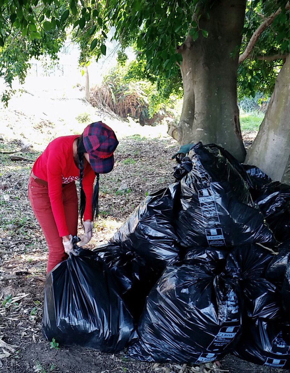 When there is waste on our forest floor we need to stand up and take action - @WasteStopsWithME @charlenegov07 #MissEarth2019 Catch the semi-finalists in your area, cleaning and greening communities ! <a href="/environmentza/">Environmentza</a> <a href="/EllaBellaC/">Shaun Cooney</a> <a href="/ChangeAgentSA/">CATHERINE CONSTANTINIDES</a> #KZNMissEarth