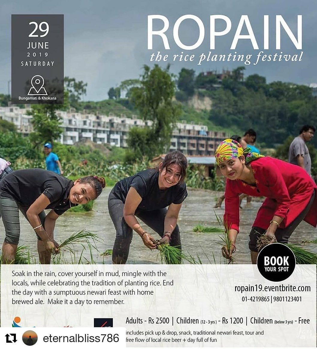 Anil5's tweet photo. Am joining in #Ropain the #Riceplanting #festival celebrated on 15th Ashar of #Nepali calendar, wanna be in farm field with people....! https://t.co/7sbKqZdQVn