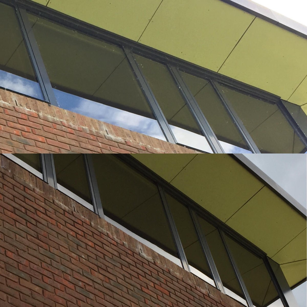 sa2000ltd's tweet image. Earlier this month we provided an urgent clean to three buildings for a customer as a combination of spiderwebs and pollen came together to leave their window glazing and frames in need of a good clean. #supervisionassured2000ltd #commercial #business