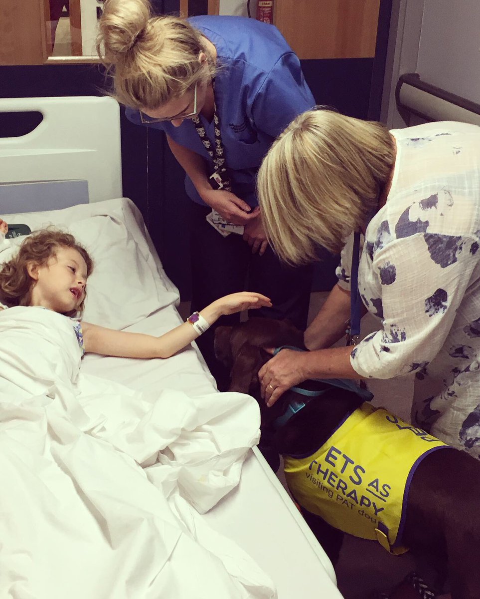 UHMBT's tweet photo. Big thank you to Helen and Andy Lewis who brought the lovely Honey to @32Children this afternoon! She was definitely a sweetie, and brought a smile to everyone’s face! 🥰🍯🐶 #PetsAsTherapy https://t.co/q7CIqopQpY