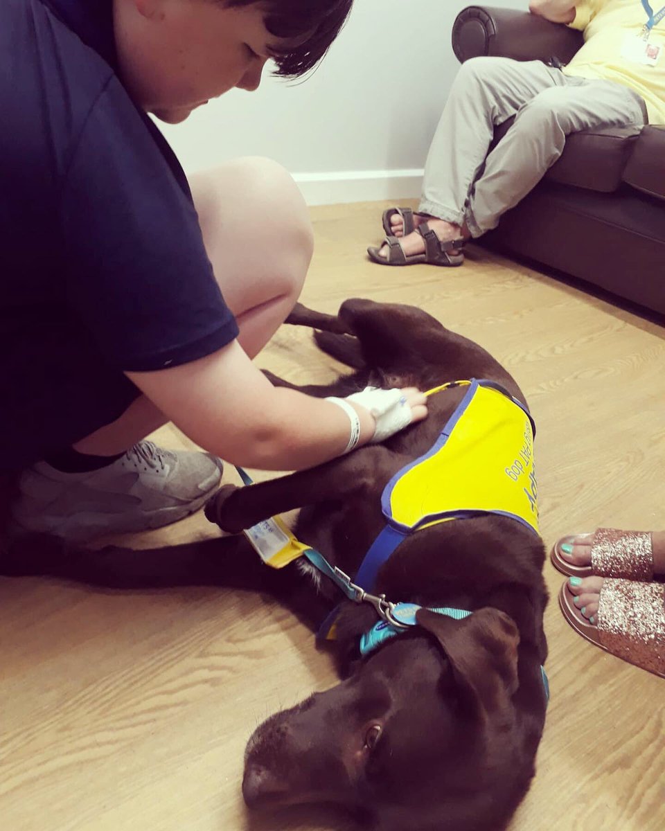 UHMBT's tweet photo. Big thank you to Helen and Andy Lewis who brought the lovely Honey to @32Children this afternoon! She was definitely a sweetie, and brought a smile to everyone’s face! 🥰🍯🐶 #PetsAsTherapy https://t.co/q7CIqopQpY