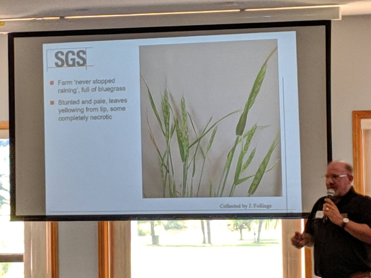 thewheatteam's tweet photo. Running through soil tests and why they are declining in Ontario. #MoreWheat @JackLeggCCA https://t.co/pWlyBM9ATZ