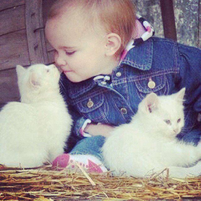 Aww, so sweet!
#pets #AdoptDontShop