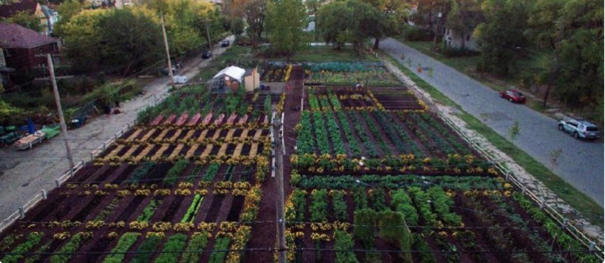 Discover America’s first 100% #organic, self-sustainable neighborhood in #Detroit via <a href="/theheartysoul/">The Hearty Soul</a> bit.ly/2Xr1nO5. An amazing initiative by <a href="/MIUrbanFarm/">MUFI</a> #Sustainable #Green #ClimateChange #EnvironmentallyFriendly #Agrihood