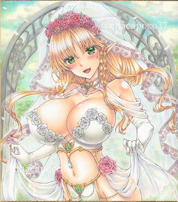 エルフの花嫁
6月中に間に合ったぁぁあ(இдஇ  )
#創作 #アナログ 