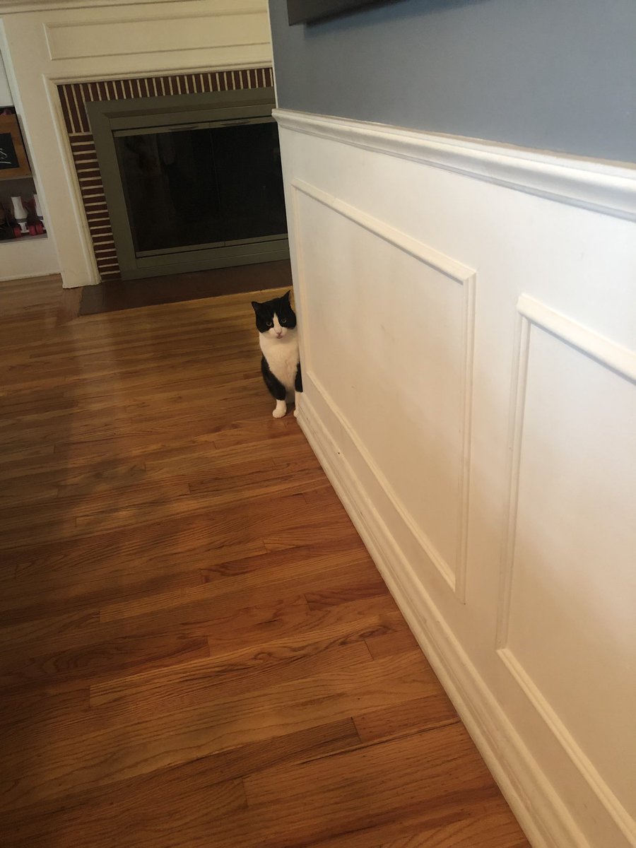 Tweet Tweet It S Joana On Twitter Save Bandit Violently