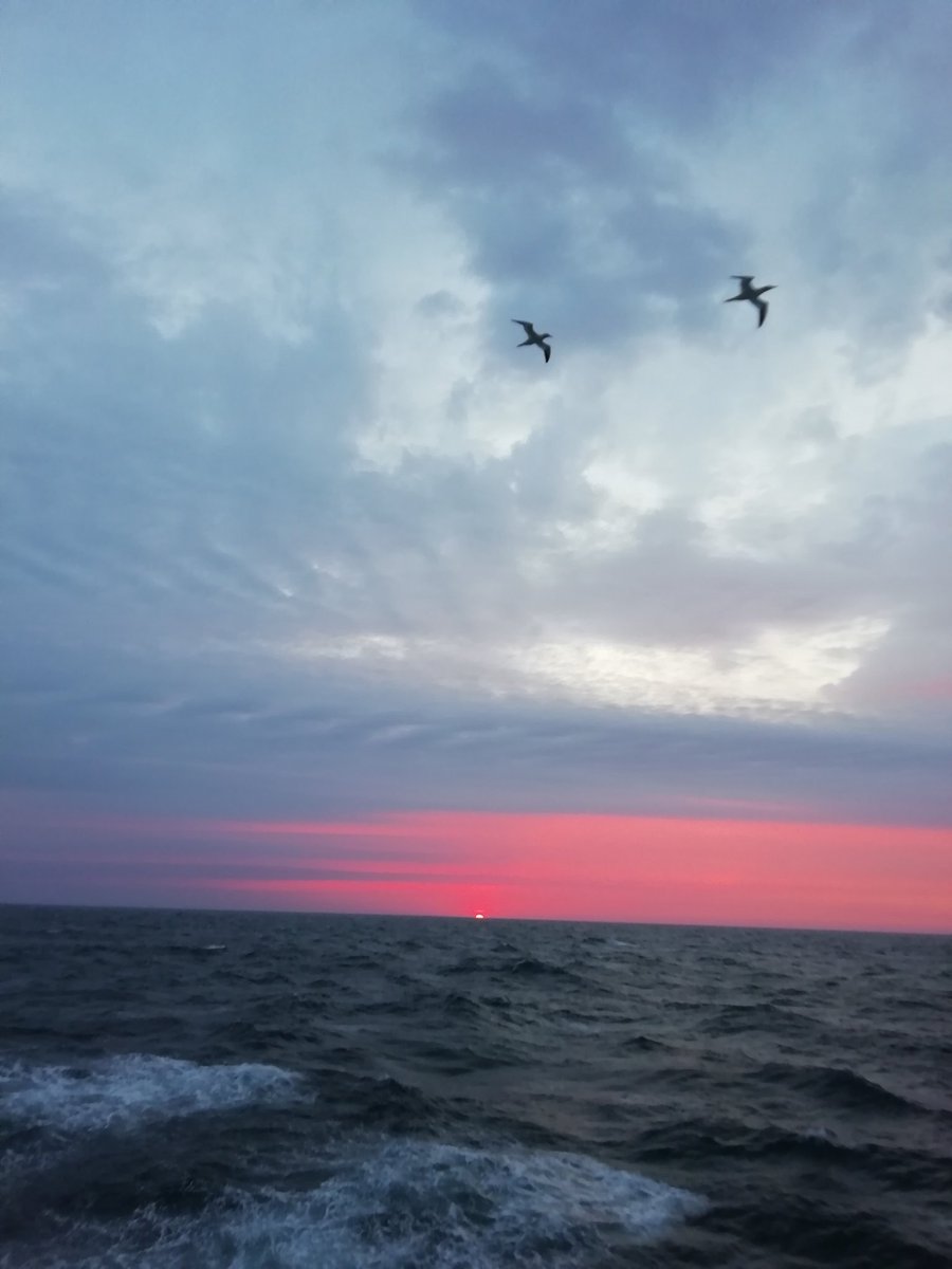 Fieldwork with a view! Currently carrying out 3 weeks of research on-board the R. V. Celtic Explorer as part of the WESPAS survey.