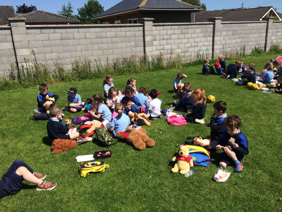 MsoreganSCMJ's tweet photo. Great day for a teddy bears picnic https://t.co/1UEtYWTps3