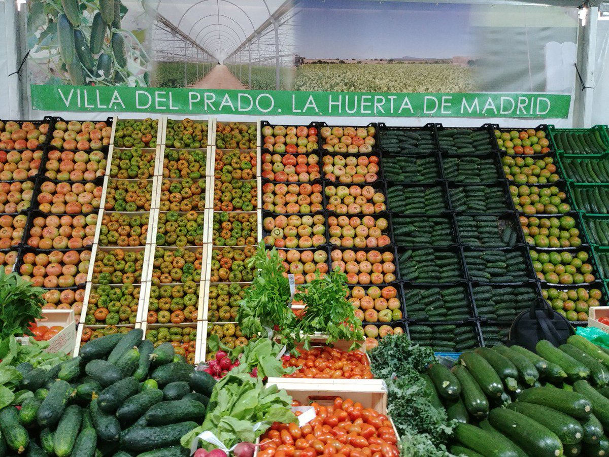 EFE Verde tweet media