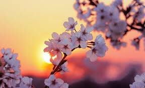 norhahmad155gm2's tweet photo. (لاتدري لعل الله يُحْدِثُ بعد ذلك أمراً)
 لا أحد مشتت البال (كالمطلق والمطلقة ) فحتى لا تضيع عليه عباداته جمع الله عليه باله بالآية 
عقيل الشمري .. 

كررها إذا دهمك أمر أراد أن يشتت عليك بالك ويذهب بالفأل من قلبك وأَسْلِم لله أمرك https://t.co/nOm1npNcia