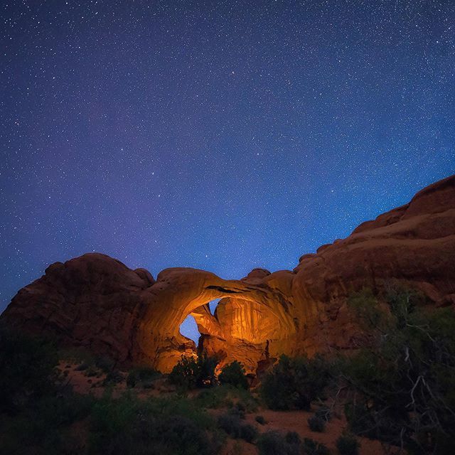 Filippo Rivetti tweet media