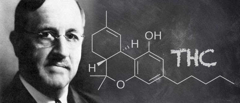 DID YOU KNOW? 

THC was first discovered in 1940 by American chemist Roger Adams. However, Adams synthesized the molecule from #CBD; he didn't isolate it from the plant. It wasn't until 1964 that Raphael Mechoulam—using a nuclear magnetic resonance spectrometer—isolated #THC.