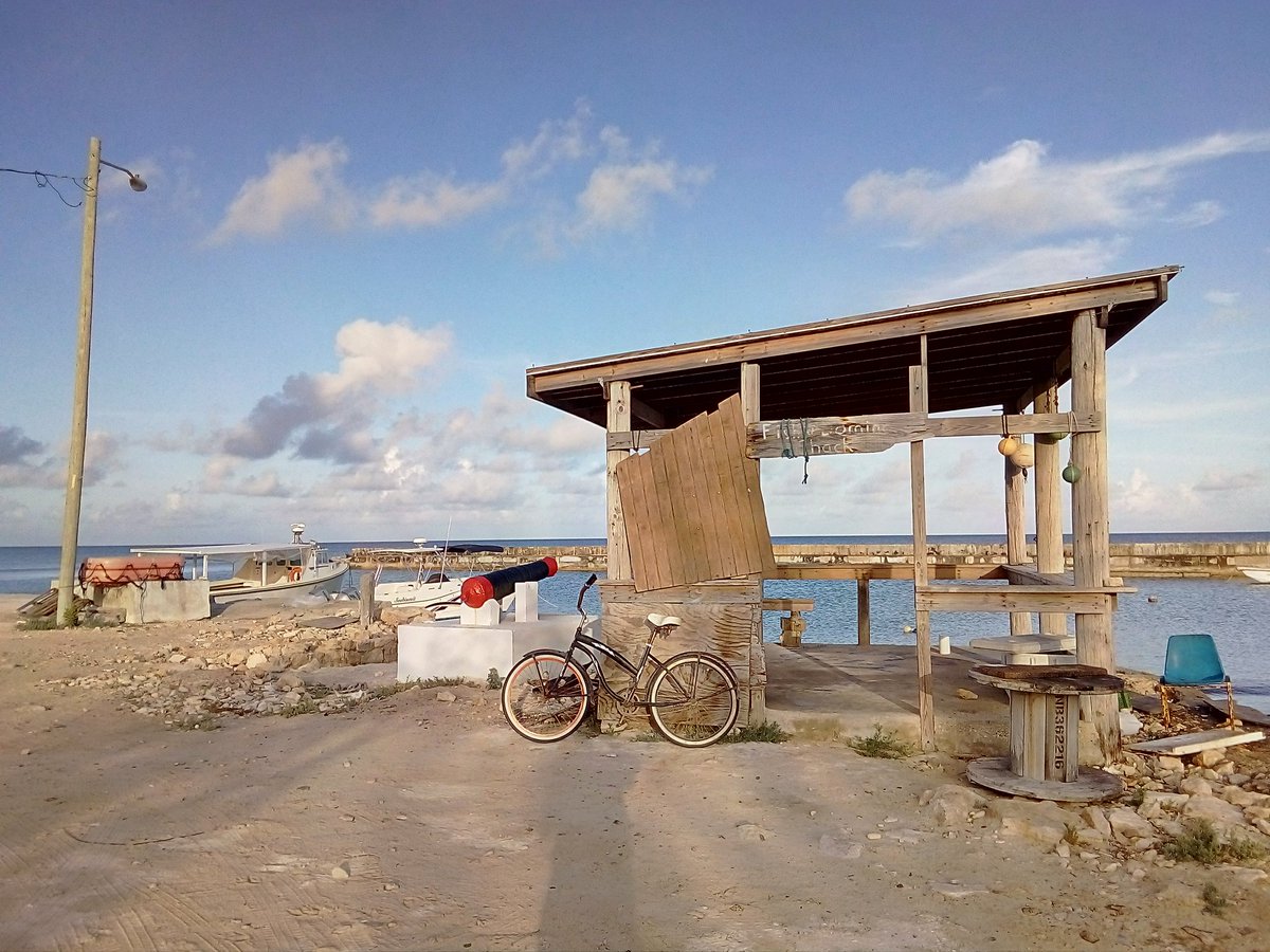 salt_cay's tweet photo. Good morning Salt Cay! #saltcay #TurksAndCaicos https://t.co/jXMuaFXsI5