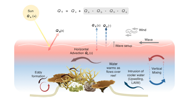 CharEvePage's tweet photo. ...capable of impacting both physiological functioning through the modulation of #boundarylayers and indirectly effecting thermal environment on reefs.
🐤4/6 https://t.co/gBiXaRPlxz