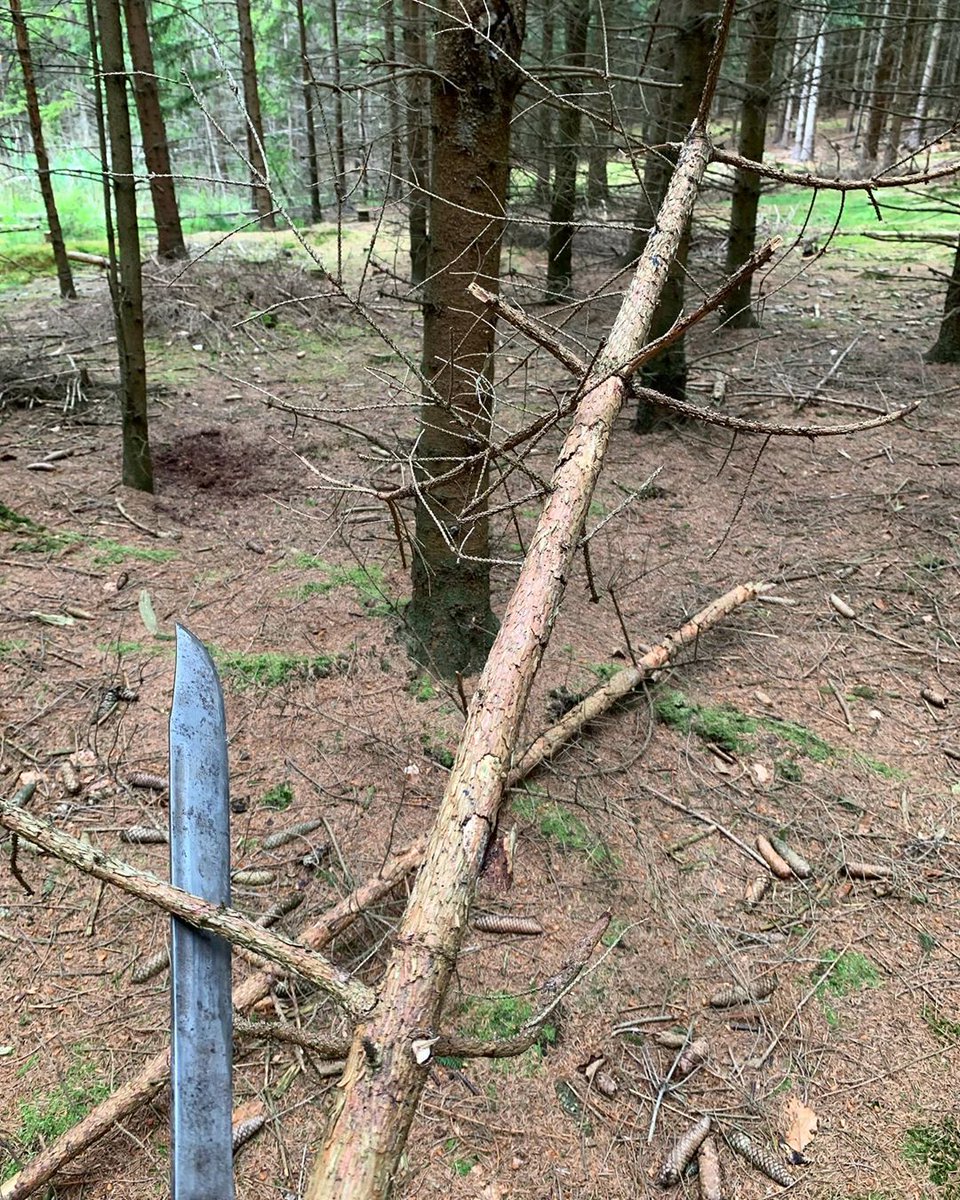 Undepend's tweet photo. Collected new bow-drill materials in the forest. I needed a spruce log to turn into a fire board as well as new spruce drill materials. Looking forward to testing it. I just need to dry it first. #bushcraft  #wildernesssurvival #outdoor   #survivalcraft #bowdrill #firemaking https://t.co/Keni0FMvZ3