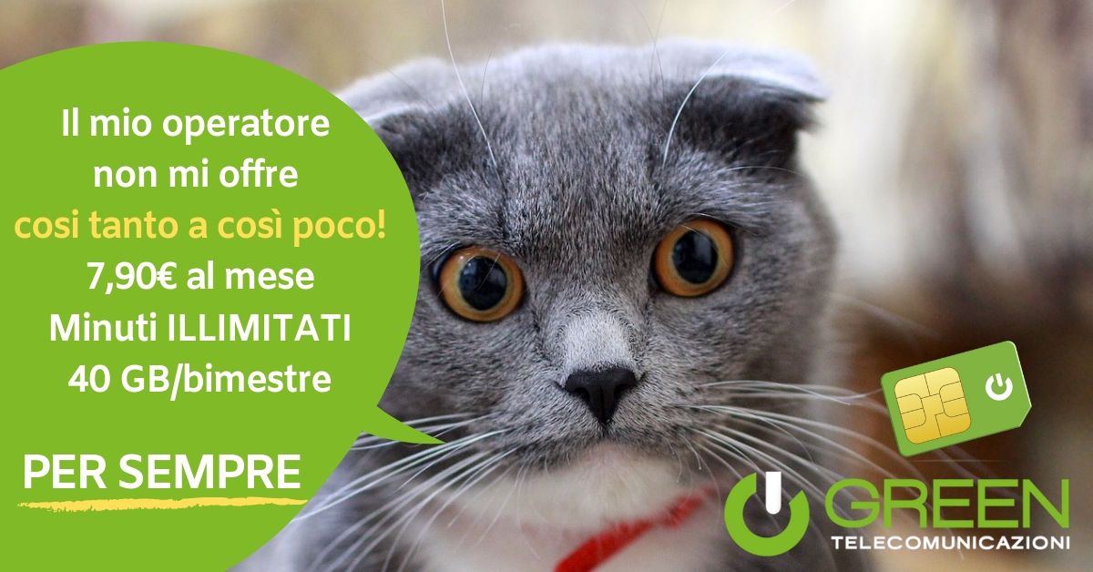 GreenTlcSpA's tweet photo. Sei un privato?
7,90 al mese
Minuti illimitati
40 GB/bimestre in 4G
COPERTURA OTTIMALE
Vai su 👉 https://t.co/8sOIVywOiR 
#telefonia #smartphone #4G https://t.co/XtRShEVsFc