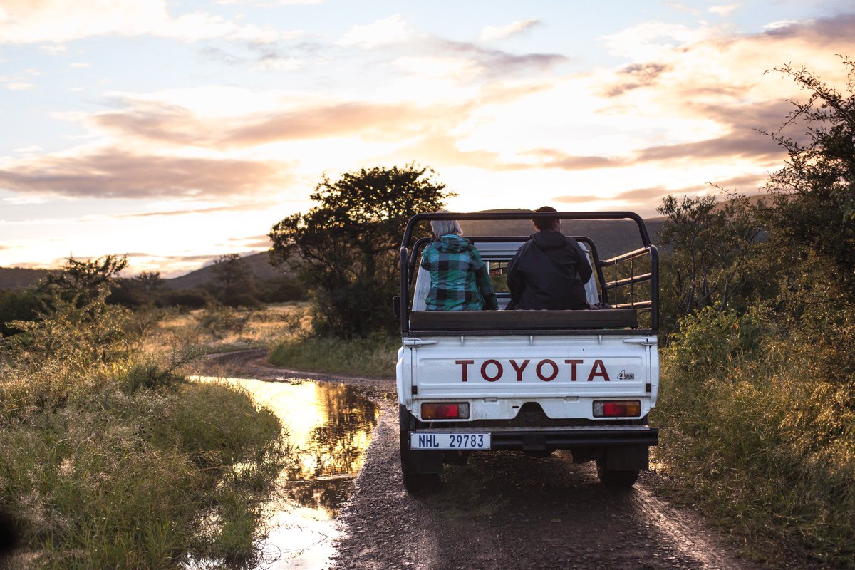 YouthForLions's tweet photo. Tomorrow, we set off on a lion tracking adventure with @wildlifeact and @Blood_Lions #BornToLiveWild
Pic by: Chantelle Melzer https://t.co/xRQeqdHqUI