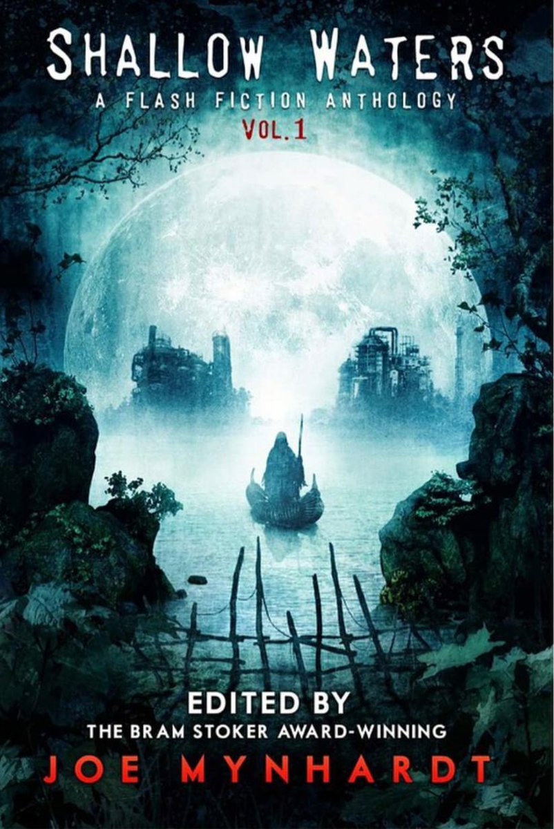 Joe Mynhardt, Shallow Waters Vol.1 review — Horror Novel Reviews betterbrainsbooks.wordpress.com/2019/06/27/joe…