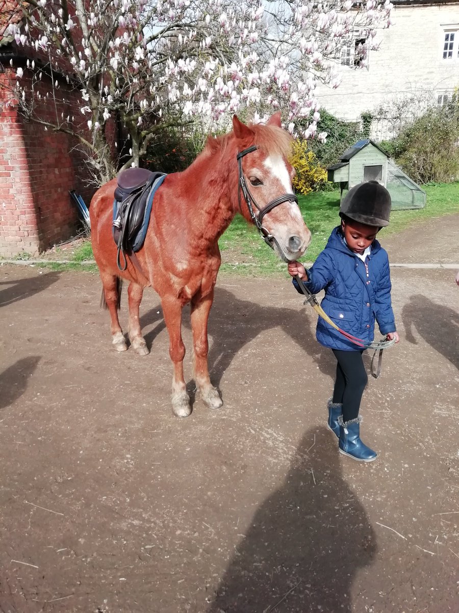 BCA_Academy's tweet photo. So much interest in our Horsey #actionresearch Here's a link to a short summary of our learning! 🐴 https://t.co/NXNDcOjmr4? ref=Link&loc=play #languageacquistion Contact us to find out more! https://t.co/djHRVAjTGF