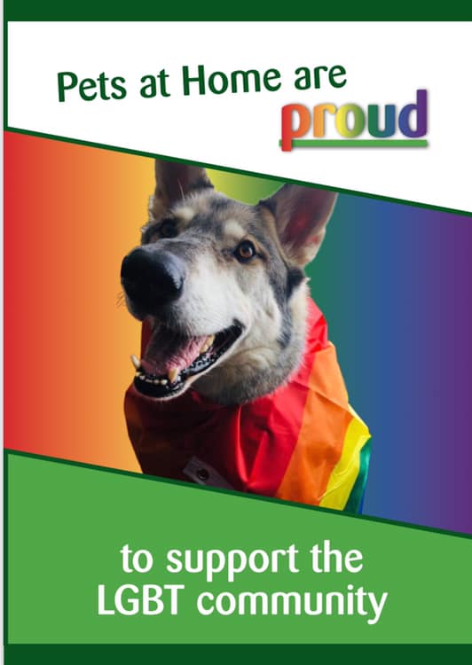 PetsMarsh's tweet photo. #Pride #pridemouth #petsforpride #LGBTQtogether 

@LGBTfdn @BuzzFeedLGBT @PetsatHome https://t.co/FDJ1jv8pQ0