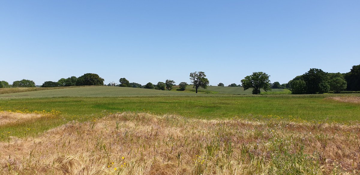 herts_agri's tweet image. Just collected some soil samples to test for heavy metals in Woburn. Beautiful Day! #beds #woburn #rothamsted #soilscience #trimblegps