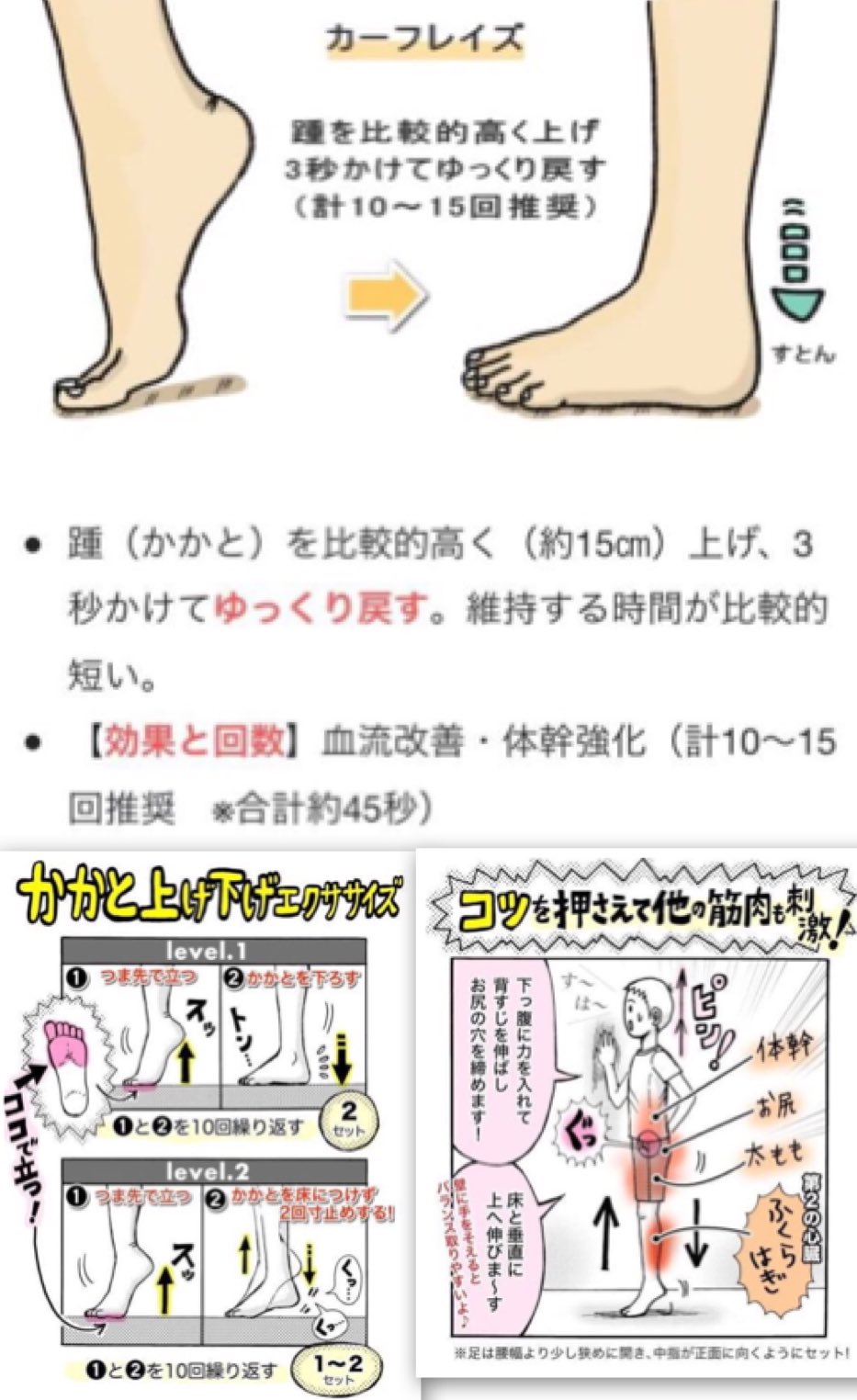 Twitter 上的 あやな 最近はプラスでこの3つも 気が向いたらするようにしてる カーフレイズ かかと上げ下げ とがわ愛さんのヒップリフト エア縄跳び ふくらはぎに筋肉をつけたいのと お尻をもっと引き締めたいと思って やったらお尻ガチガチになった