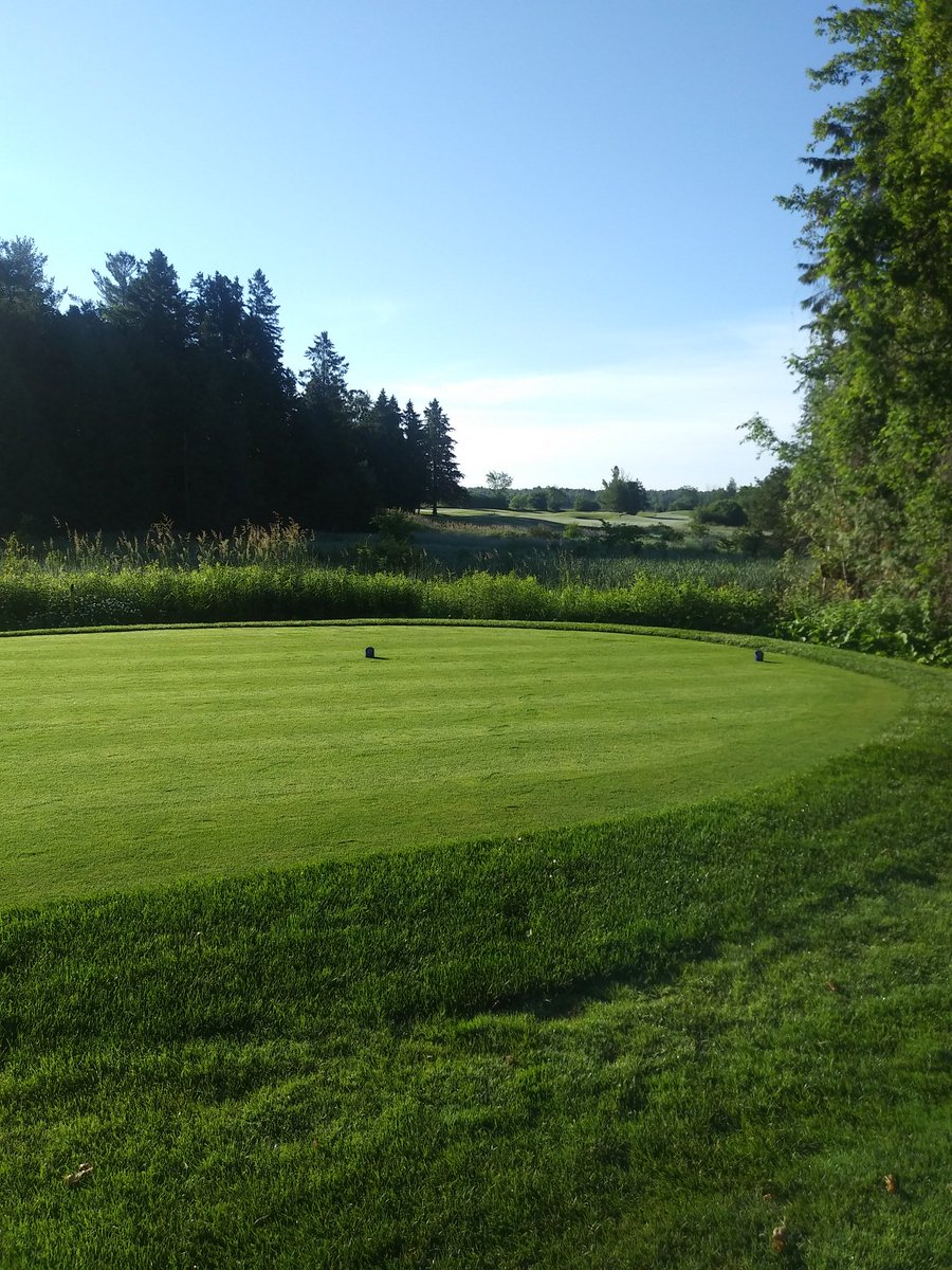 brianbeemer73's tweet photo. New blue tee decks opening today on  #5, #7 and #13. #nationalpines #clublink https://t.co/V8yK1G3lbh
