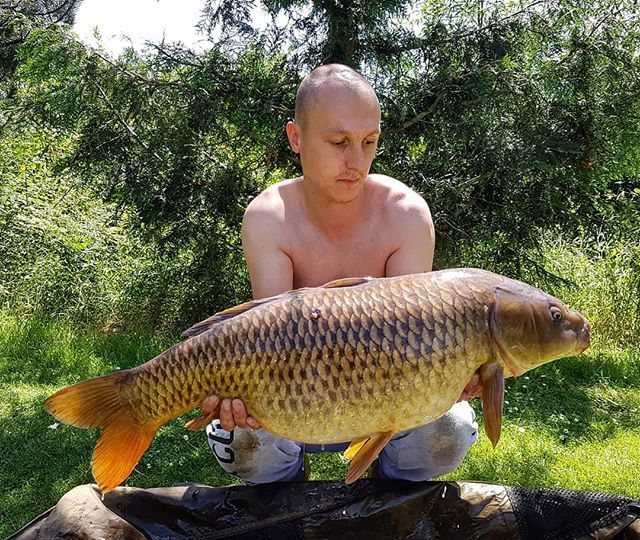 A 23lb common for Paul 👌#carplake #commoncarp #carpfishing #carp #crowsheathfishery #carplife #fishing🐟 #fishing #fishing🎣 #fishingislife #fishinglife #fishinguk #dayticketfishing #dayticket #essex ift.tt/2FCjqXp